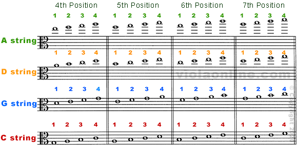 Viola Chart