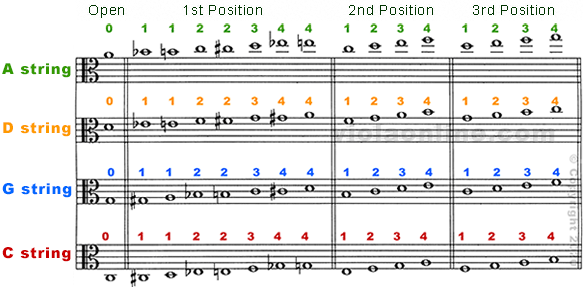 Viola Chart