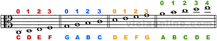 Viola Chart