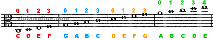 Viola Fingerboard Chart